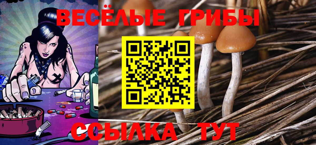 Екатеринбург  Галлюциногенные грибы Magic Shrooms  Вход с VPN 