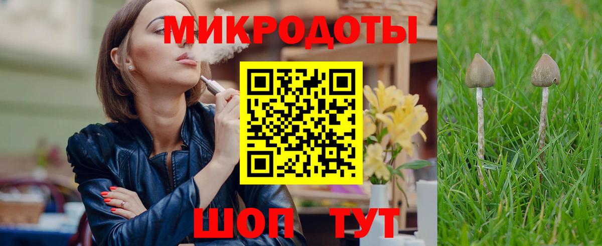 Псилоцибиновые грибы GOLDEN TEACHER Екатеринбург